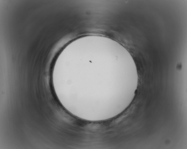 X0000100410294200807032044