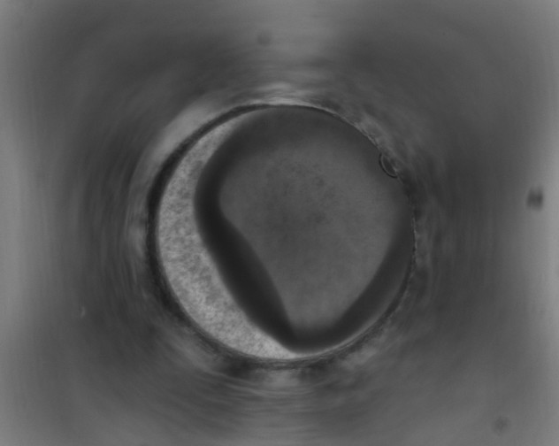X0000100410295200807032044
