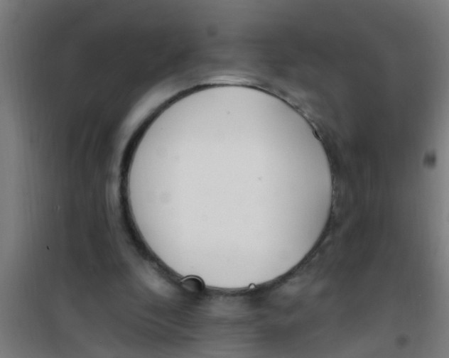 X0000100410296200807032044