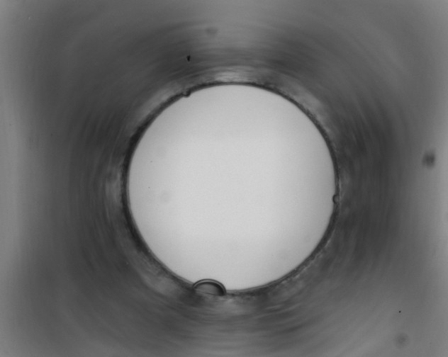 X0000100410297200807032044