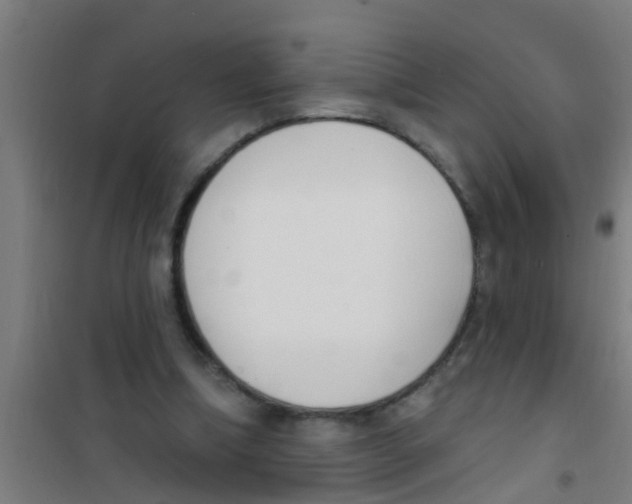 X0000100410298200807032044