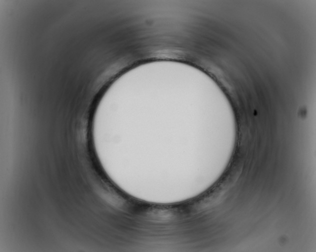X0000100410299200807032044