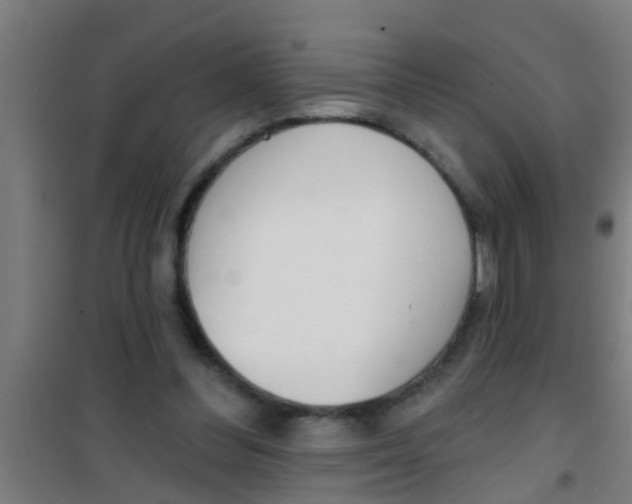 X0000100410300200807032044