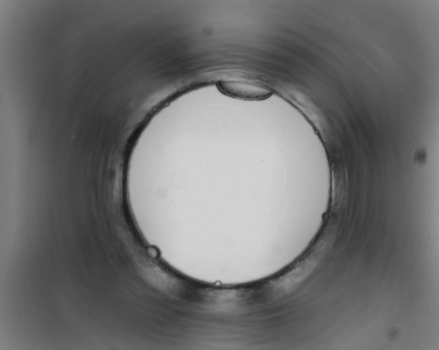 X0000100410301200807032044