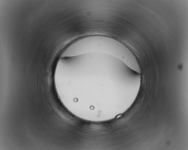 X0000100410302200807032044