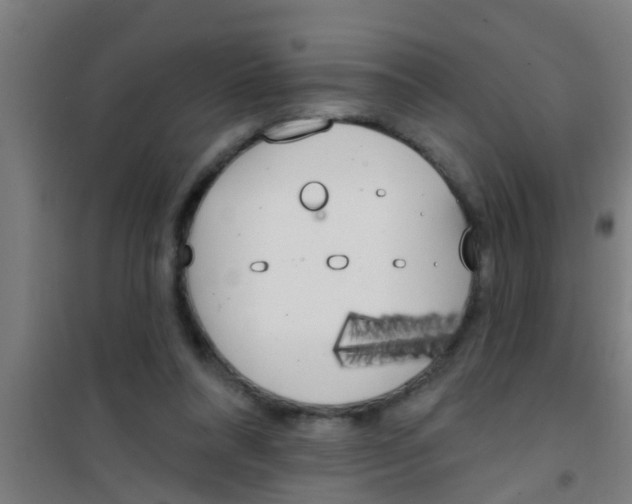 X0000100410304200807032044