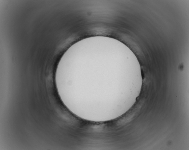 X0000100410306200807032044