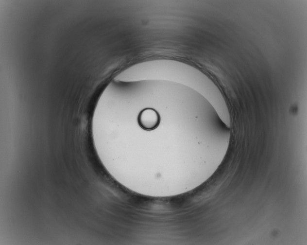 X0000100410308200807032044