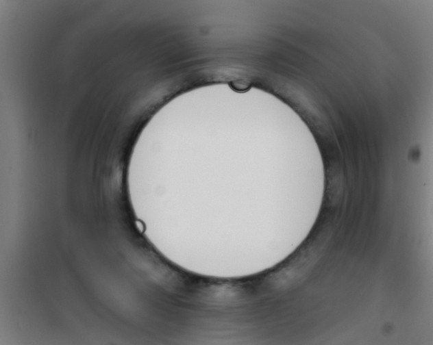 X0000100410310200807032044