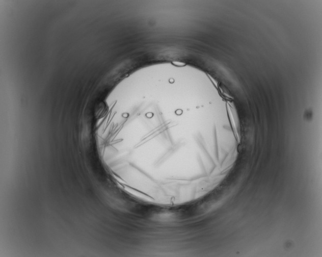 X0000100410312200807032044