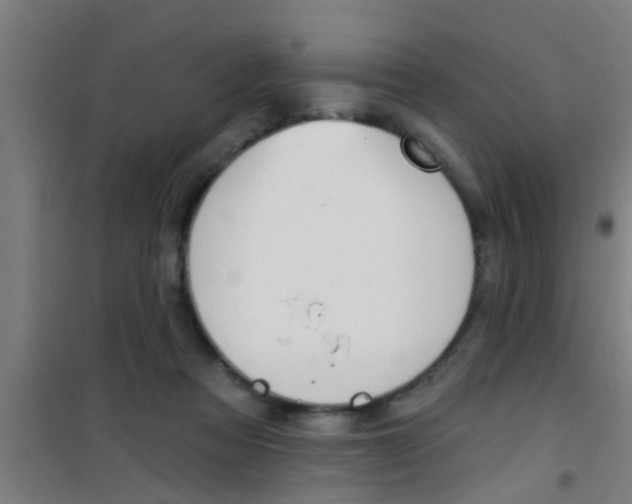 X0000100410313200807032044