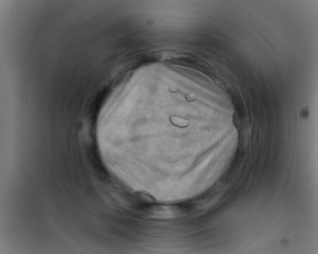 X0000100410316200807032044