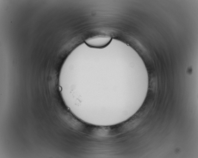 X0000100410318200807032044