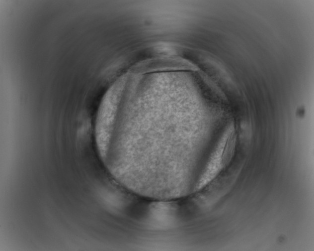 X0000100410320200807032044