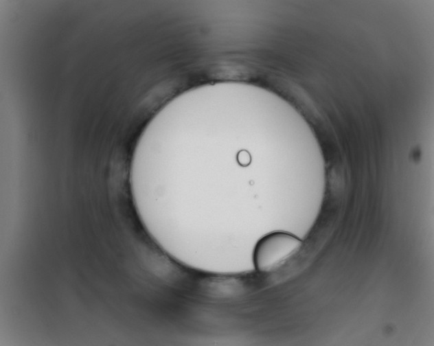 X0000100410322200807032044