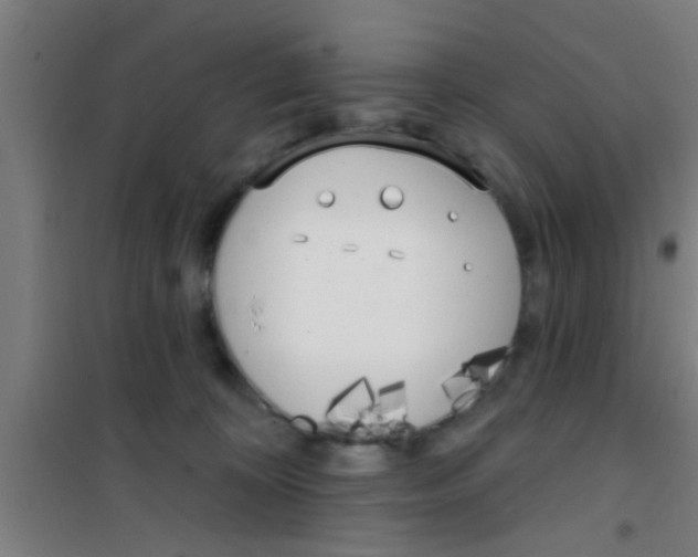 X0000100410324200807032044