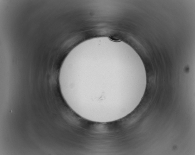 X0000100410325200807032044