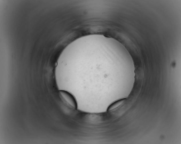 X0000100410327200807032044