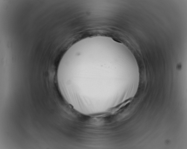 X0000100410328200807032044