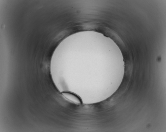 X0000100410329200807032044