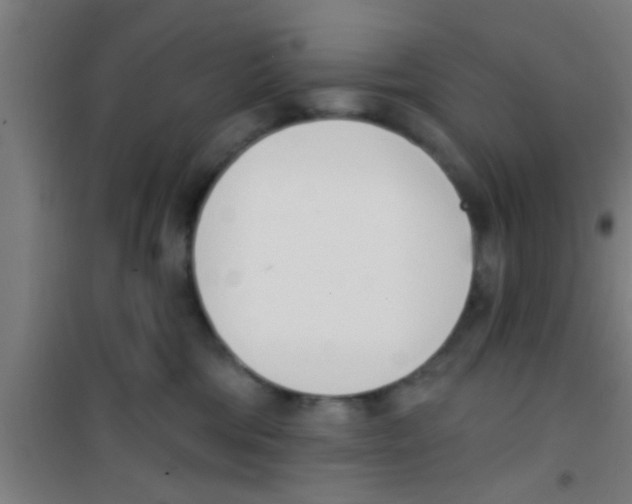 X0000100410330200807032044