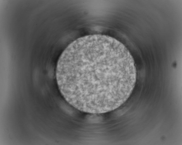 X0000100410331200807032044