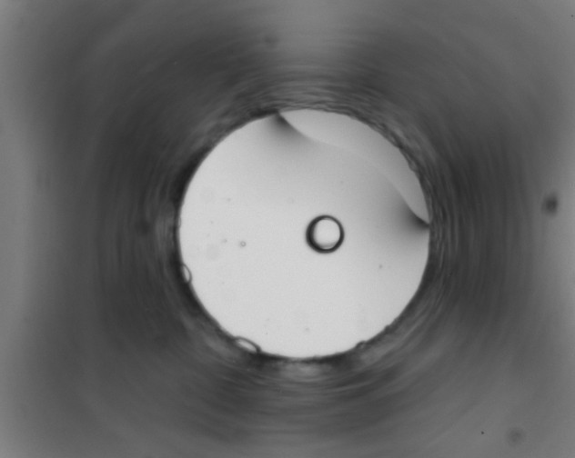 X0000100410332200807032044