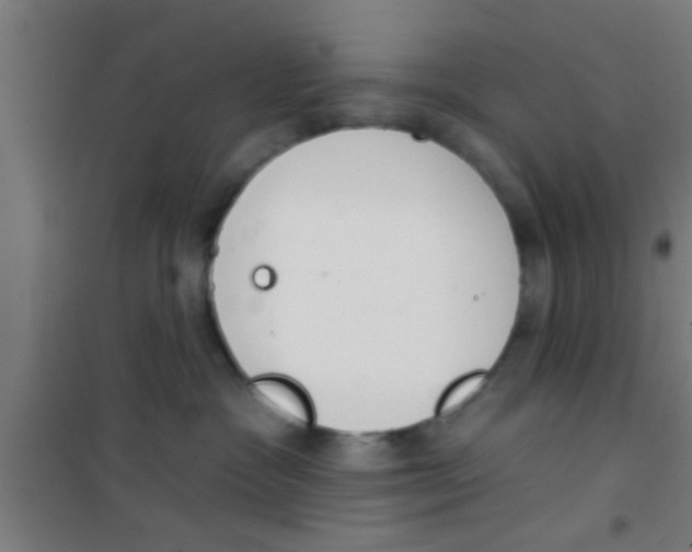 X0000100410333200807032044