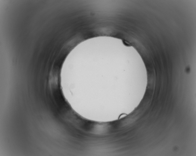X0000100410334200807032043