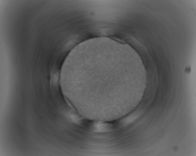 X0000100410336200807032043