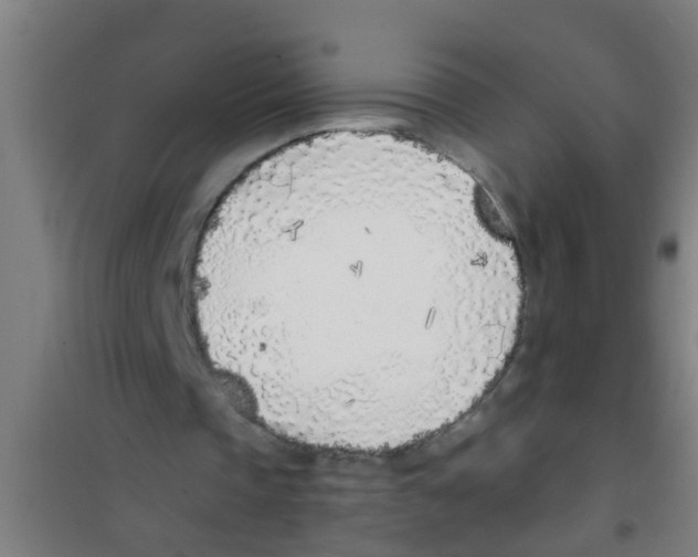 X0000100410337200807032043
