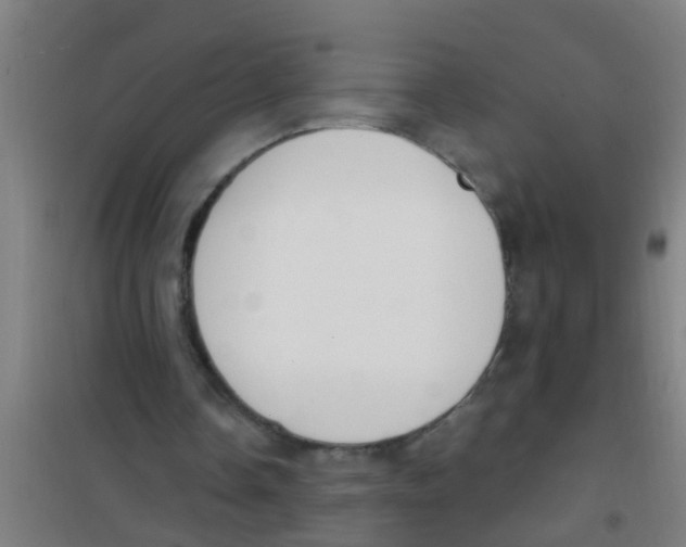 X0000100410338200807032043