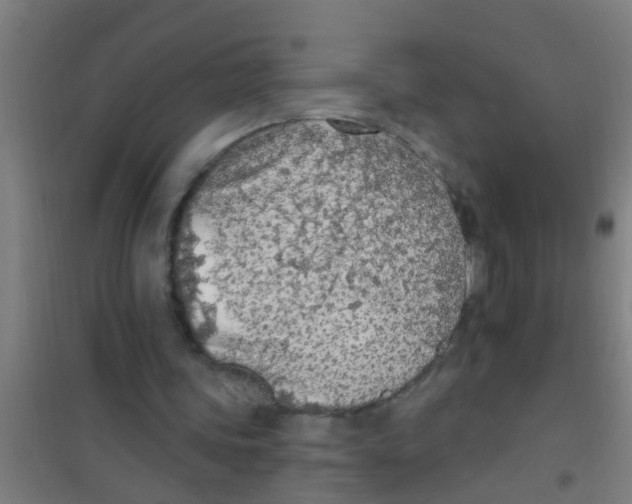 X0000100410339200807032043
