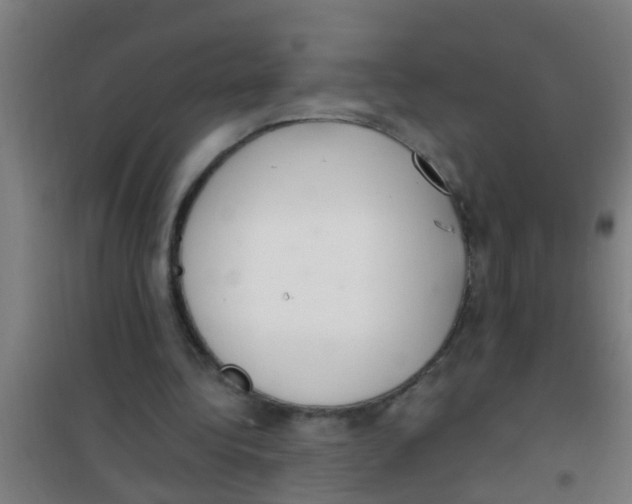 X0000100410340200807032043