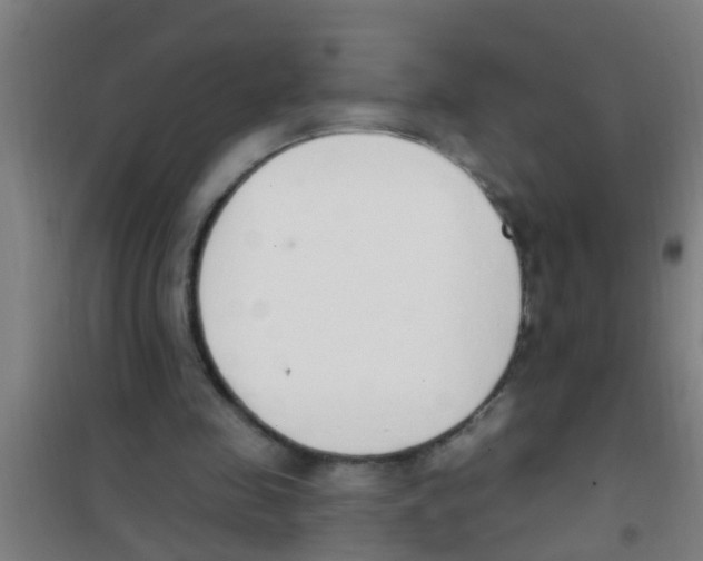 X0000100410341200807032043