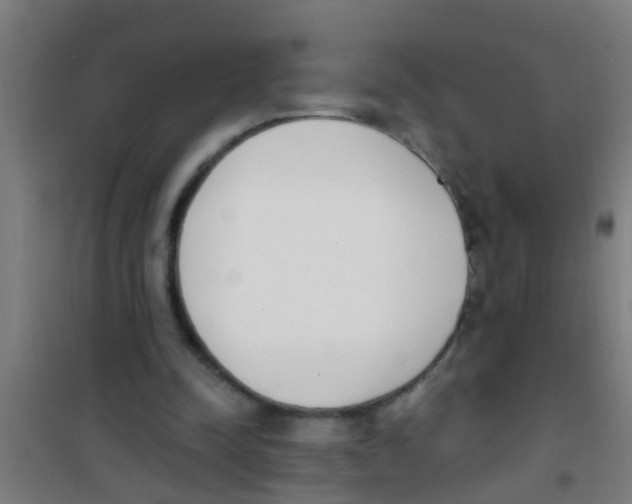 X0000100410342200807032043