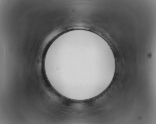 X0000100410344200807032043