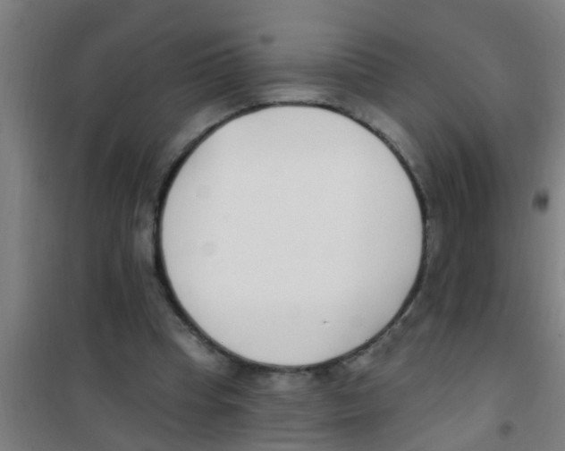 X0000100410345200807032043
