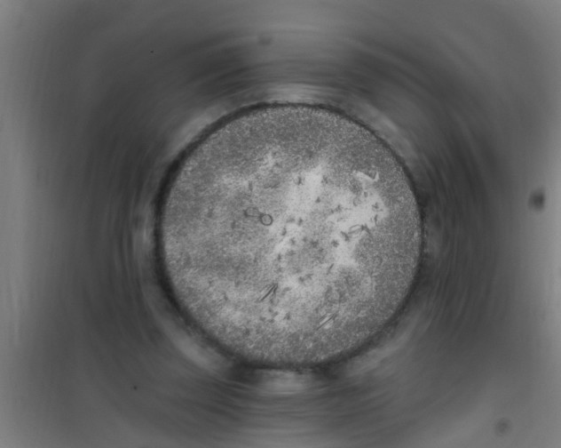X0000100410347200807032043