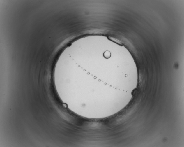 X0000100410348200807032043