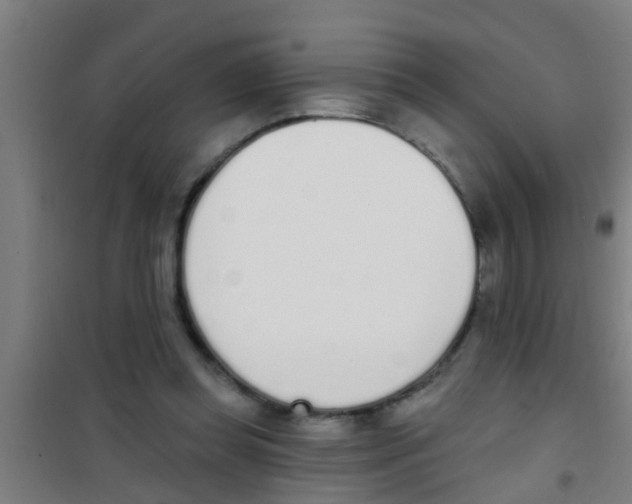 X0000100410349200807032043