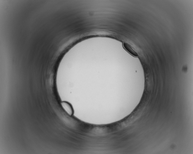 X0000100410350200807032043