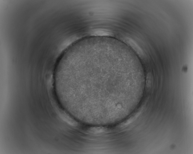 X0000100410351200807032043