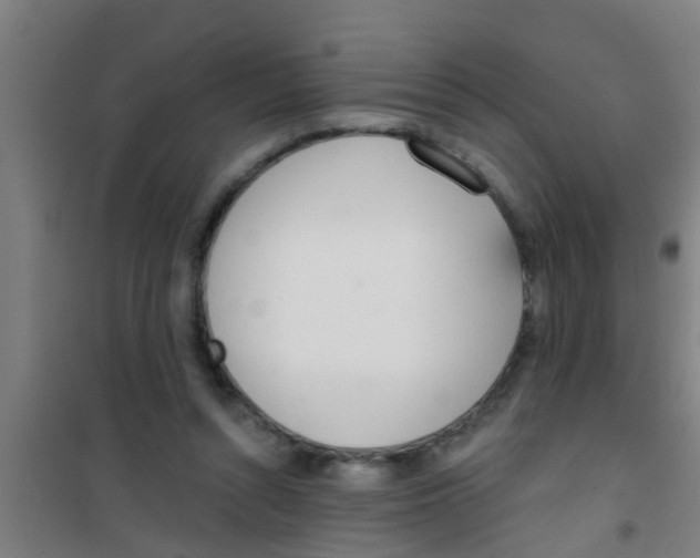 X0000100410352200807032043