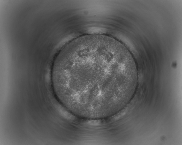 X0000100410353200807032043