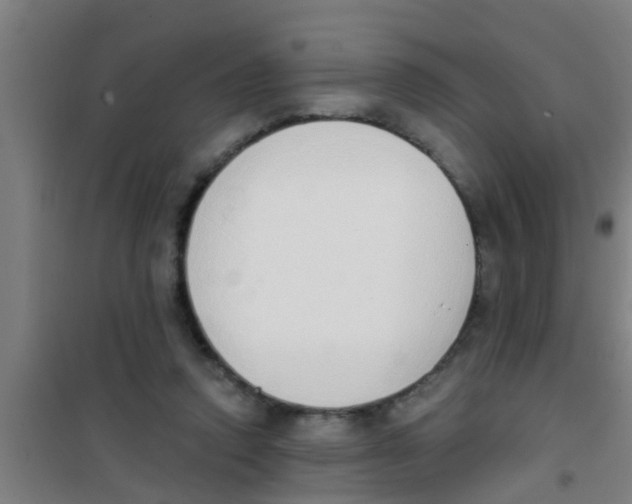 X0000100410354200807032043