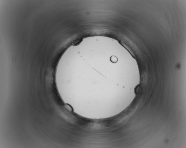 X0000100410356200807032043