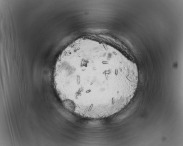 X0000100410357200807032043