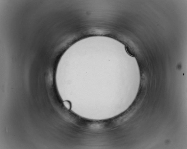 X0000100410358200807032043