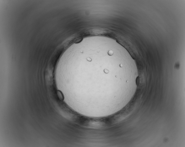 X0000100410360200807032043